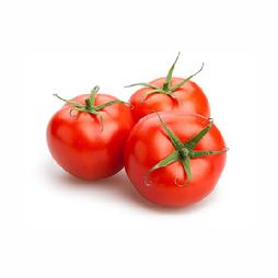 Start you tomato plants in January!!